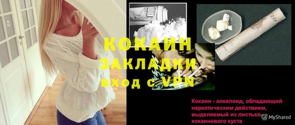молекула духа Богородск