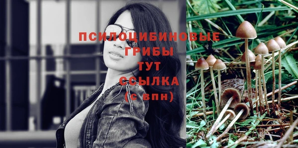 крисы Балахна
