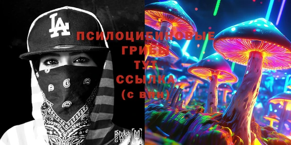 стаф Беломорск