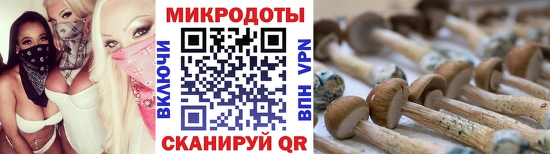 OMG ТОР  где можно купить наркотик  Беслан  Галлюциногенные грибы Psilocybine cubensis 